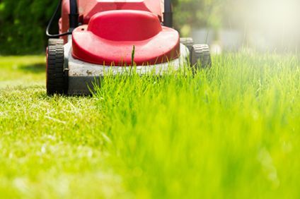 Roter Rasenmäher mäht Rasen